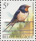 [Birds, type BSA]