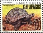 [Galapagos Islands Animals, type CDC]