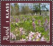 [Nature in Aaland, type IB]