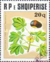 [Medicinal Plants, type XPV]