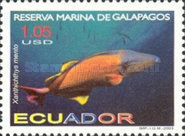 [Galapagos Marine Reserve, type CXA]