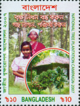 [National Tree Plantation Campaign, type AEP]