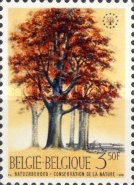 [Trees - Nature Protection Year, type ALN]