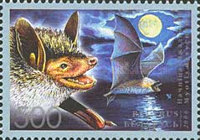 [Bats, type VN]