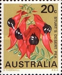 [Flowers, type IZ]