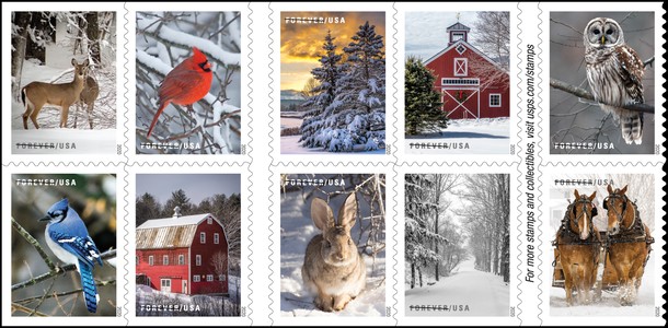 [Winter Scenes, type ]