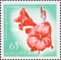 [Flowers, type ZS]