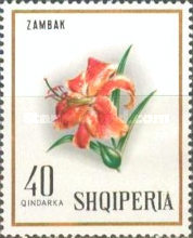 [Flowers, type AET]