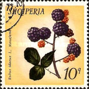 [Forest Fruits, type ANN]