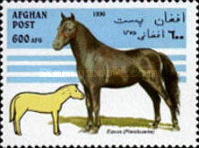 [Horses, type AMV]