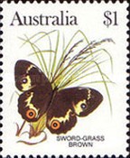 [Butterflies, type AAK]