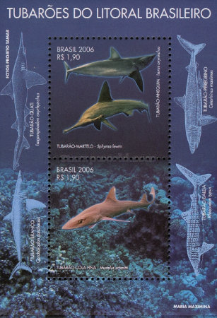 [Sharks from Brazilian Coast, type ]