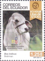 [Cows, type EFT]