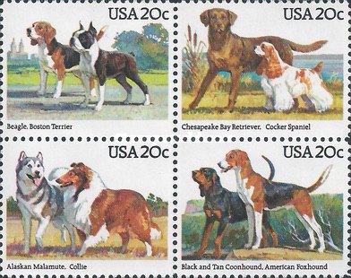 [American Dog Breeds, type ]