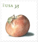 [Fruits - Apples, type GCO]