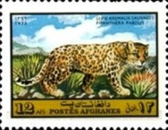 [Fauna - Mammals, type SD]