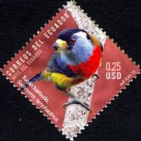[Birds of Ecuador, type DPL]