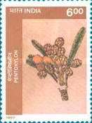 [The 50th Anniversary of Birbal Sahni Institute of Palaeobotany, Lucknow. Plant Fossils, type BAN]
