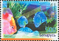 [Aquarium Fish - Discus Fish, type WB]