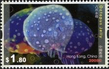 [Jellyfish, type AXO]