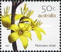 [Australian Wildflowers, type CVG]