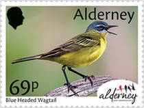 [Bird Obersvatories Across the British Isles, type AFH]