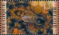 [Insects - Bees, type CAR]
