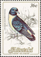 [Birds, type LK]