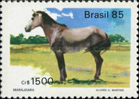 [Brazilian Horses, type CAM]