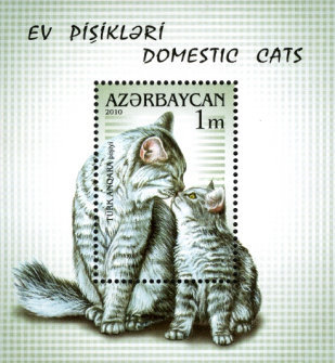 [Domestic Cats, type ]