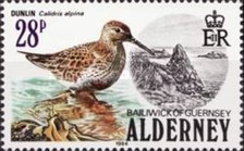 [Birds, type P]