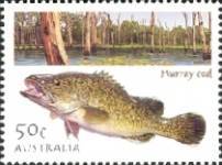 [Fishing in Australia, type CCX]
