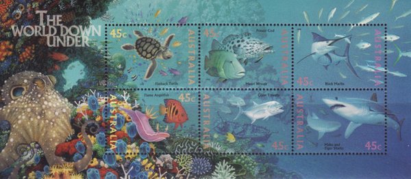 [Marine Life - Without Frame, type ]