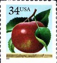 [Fruits - Self-Adhesive, type DOY]