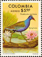[Airmail - Birds and Flowers, type ANV]