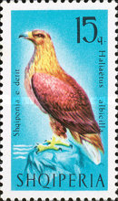 [Birds of Prey, type YV]