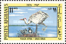 [Fauna - Birds, type SM]