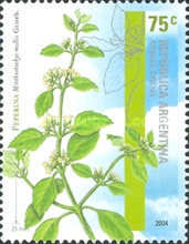 [Aromatic Plants, type CWZ]