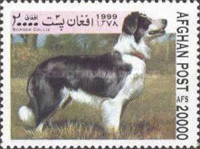 [Dogs, type ASH]