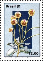 [Flowers of the Central Plateau, type BQW]