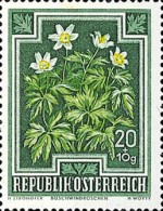 [Flowers - Charity Stamps, type OL]