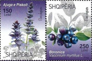 [Albanian Flora - Flowers, type ]