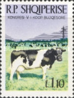 [Congress of the Agracultural Cooperative, type ADU]