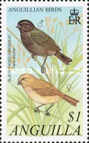 [Anguillian Birds, type ARG]