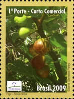 [Mercosul - Export Products - Fruit, type EEN]