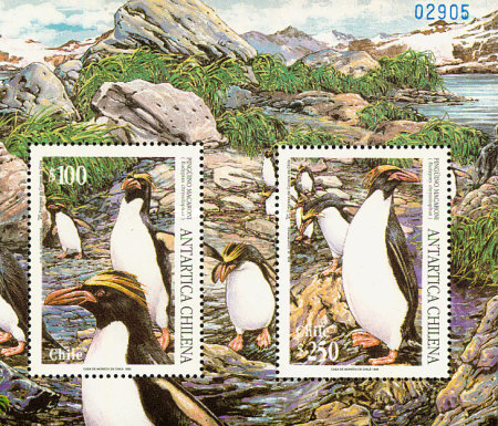 [Chilean Antarctic Territory - The Macaroni Penguin, type ]