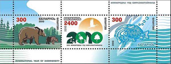 [International Year of Biodiversity, type ]