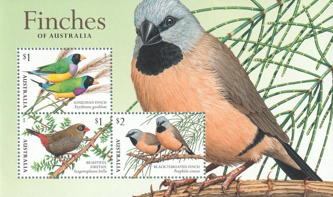 [Birds - Finches of Australia, type ]