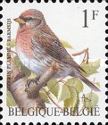 [Birds, type BRJ]