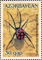 [Arachnids, type YT]